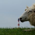 Leuchtturm von Westerhever