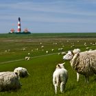 Leuchtturm von Westerhever