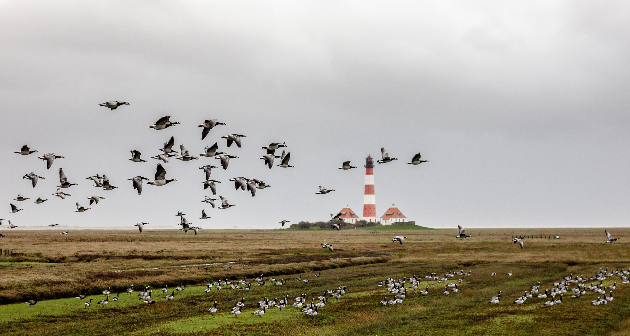 Leuchtturm von Westerhever