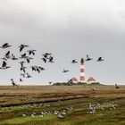 Leuchtturm von Westerhever