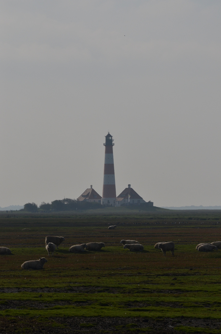 Leuchtturm Westerhever (5)