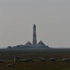 Leuchtturm Westerhever (5)