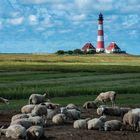 Leuchtturm Westerhever