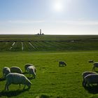 Leuchtturm Westerhever