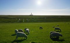 Leuchtturm Westerhever