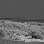 Leuchtturm Westerhever Sand in s/w