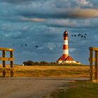 Leuchtturm Westerheversand 2