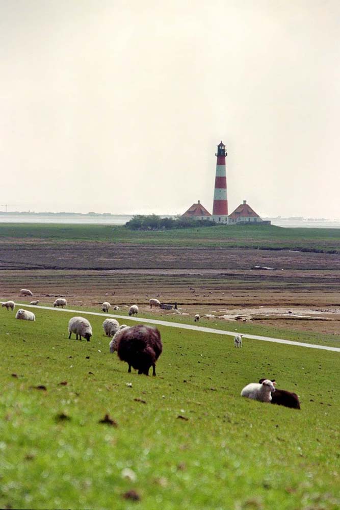 Leuchtturm Westerheversand