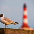 Leuchtturm Westerheversand II