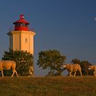 Leuchtturm Westermarkelsdorf