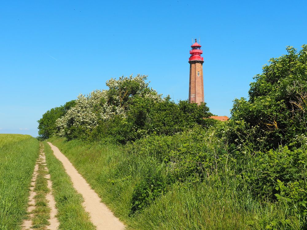 Leuchtturm_am_Weg