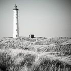 Leuchtturm,Hvide Sande / DK