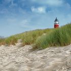 Leuchturm auf Texel