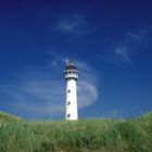 Leuchturm in den Dünen bei Egmond an Zee - Noord-Holland