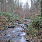 Leuckbach zwischen Orscholz und Kollesleuken