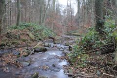 Leuckbach zwischen Orscholz und Kollesleuken