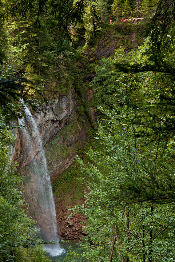 Leuenfall und Alpabzug