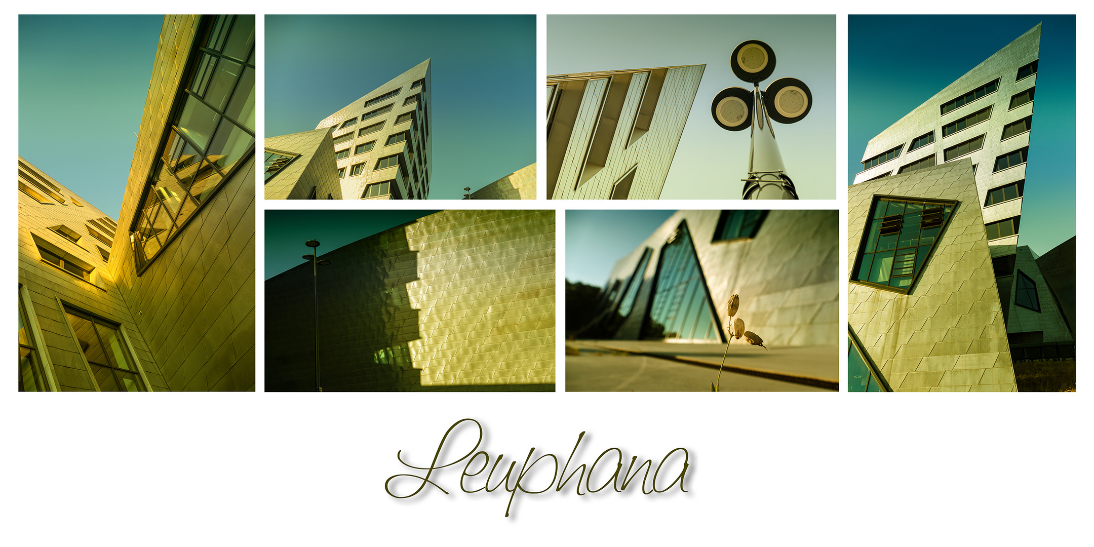 Leuphana - Uni Lüneburg