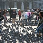 Leute die Leute fotografieren - Markusplatz