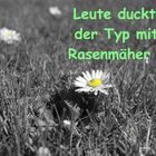 Leute duckt Euch in sw