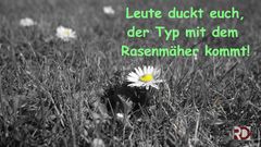 Leute duckt Euch in sw