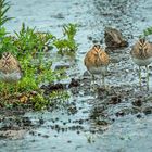 "Leute ...... lächelt nun für's Familienbild" (ISO 6400)