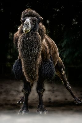 Leute, macht es wie ich....