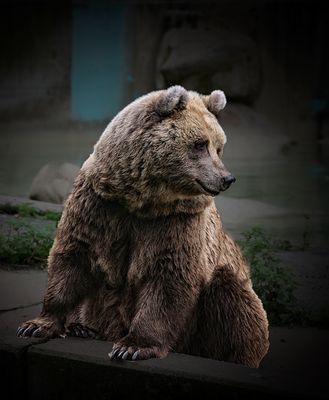Leute, macht mal zügig...
