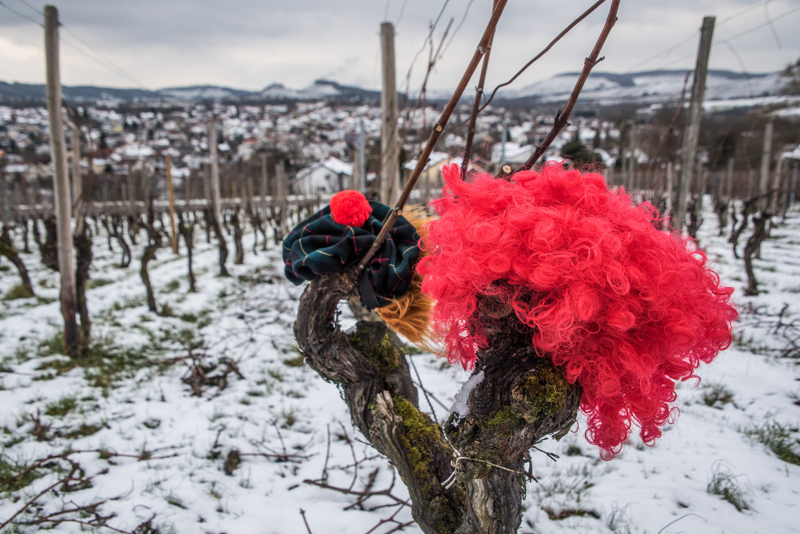 Leute vergesst nicht es ist Karneval/Fasching