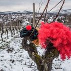 Leute vergesst nicht es ist Karneval/Fasching