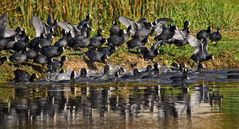"Leuteee ... da kommt wieder der nette Fotomann"