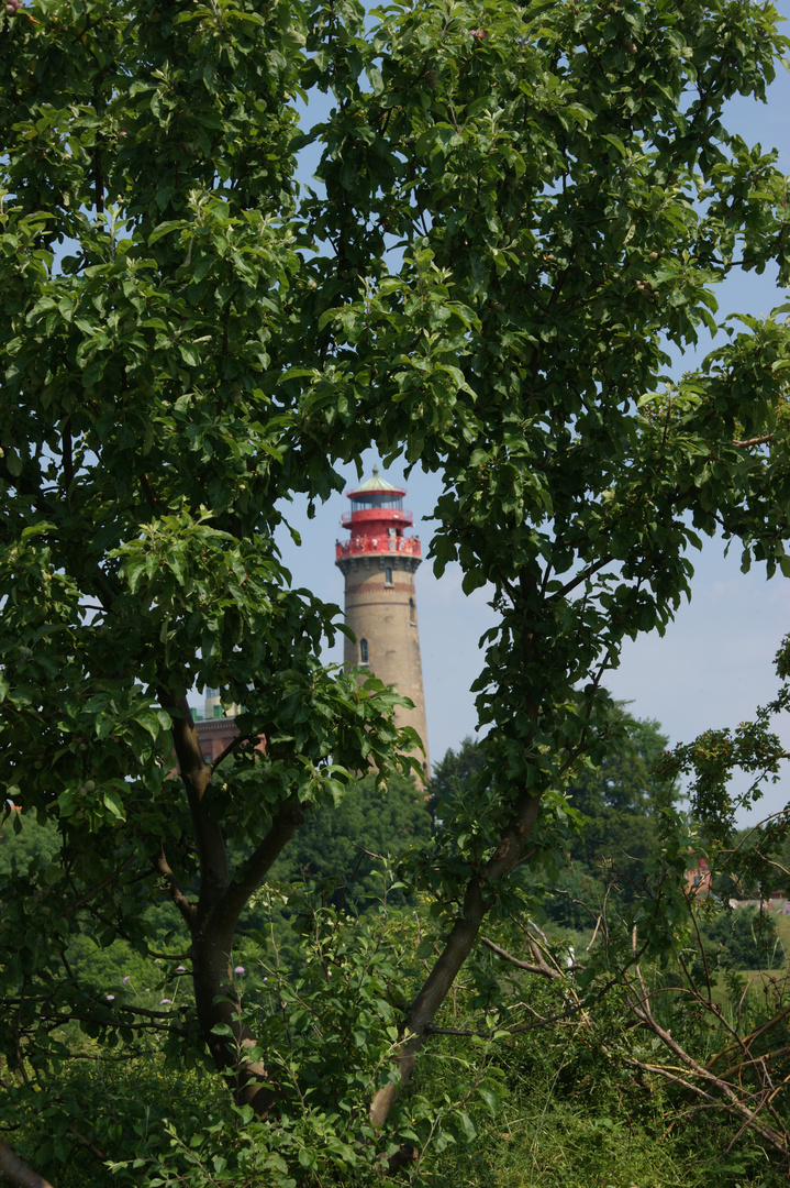 Leutturm Kap Arkona Rügen