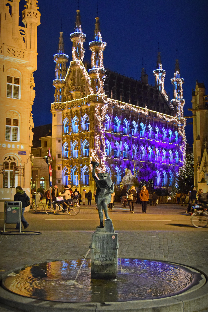 Leuven Kerst