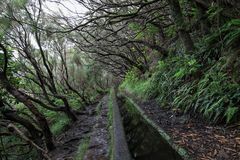 Levada 02 Madeira