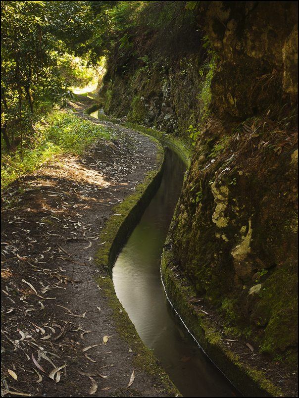 @ Levada