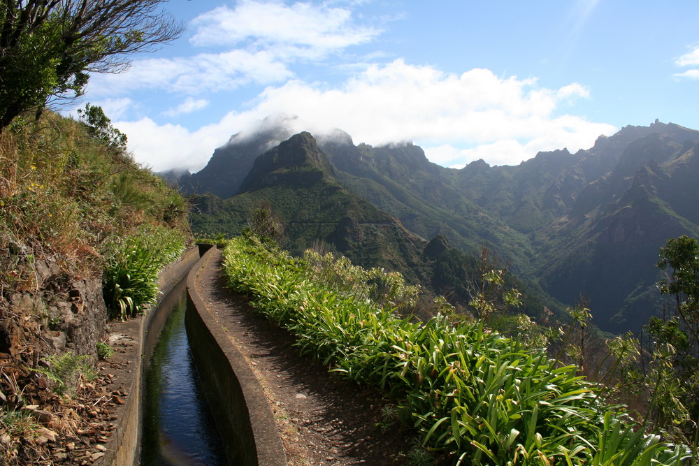 Levada