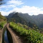 Levada