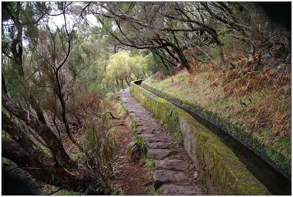 Levada 1...