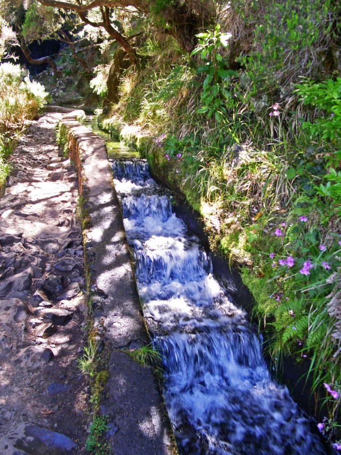 Levada 1