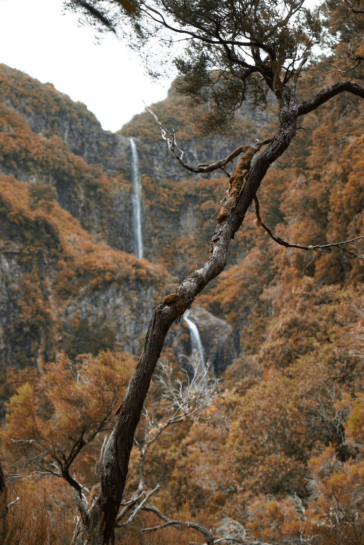 Levada