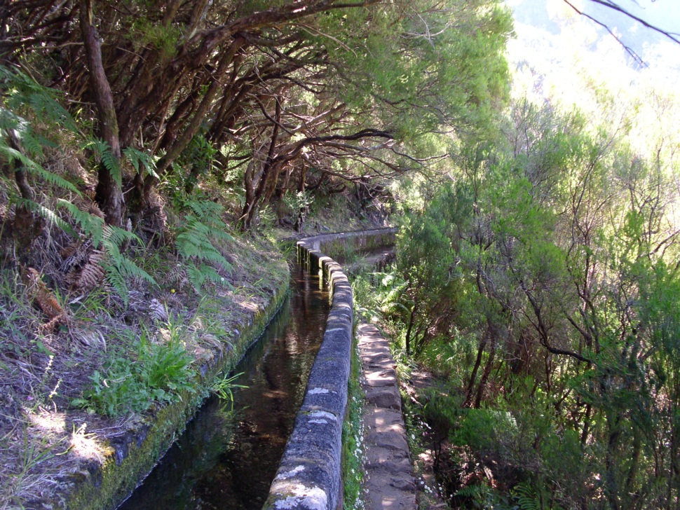 Levada 2