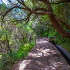 Levada 25 Fontes