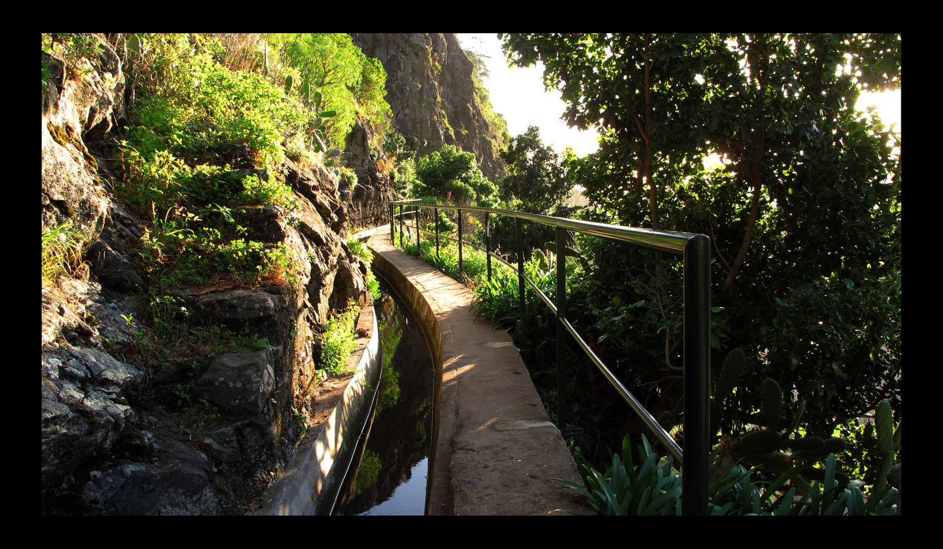 Levada