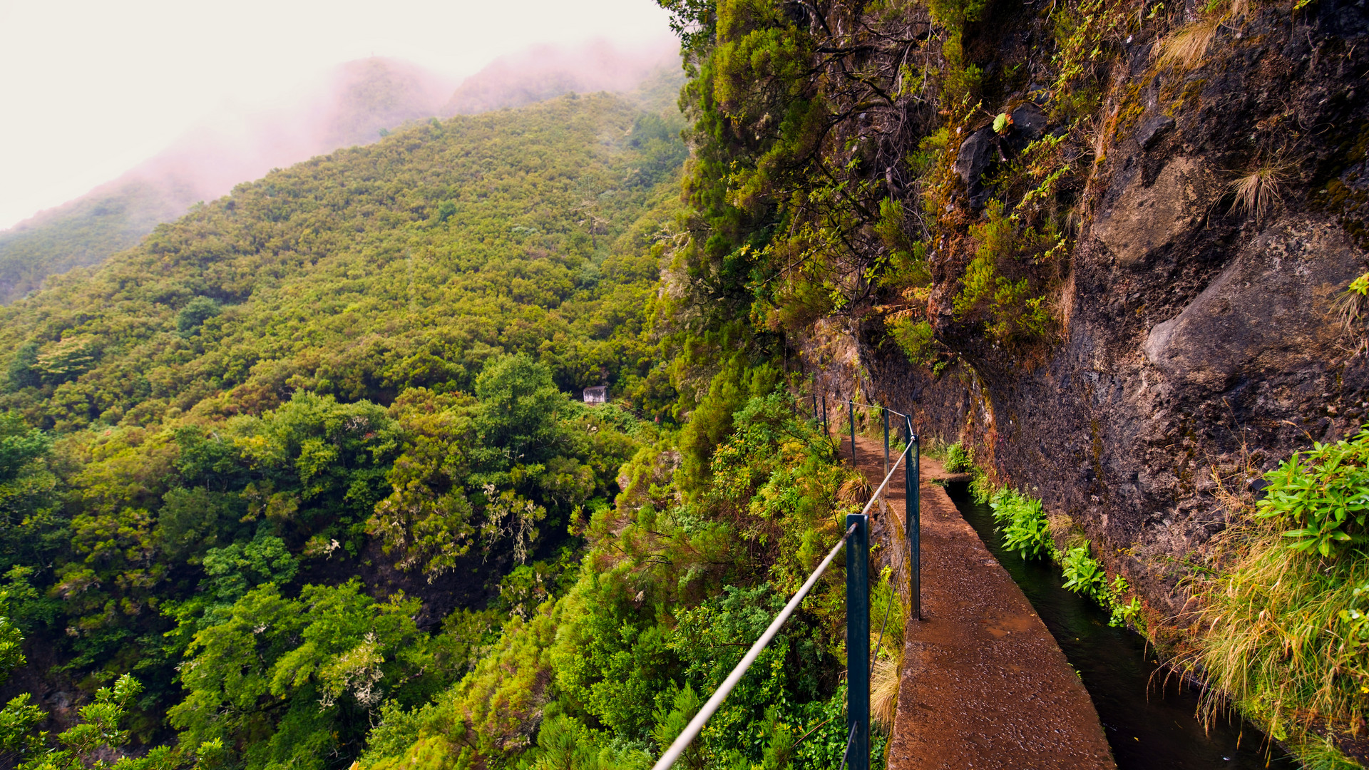 Levada Foto & Bild europe, portugal, landschaft Bilder auf