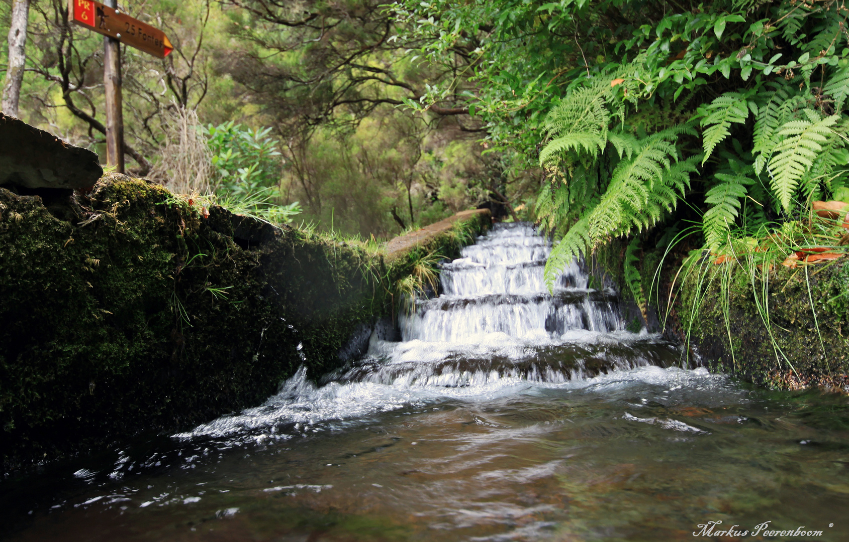 Levada