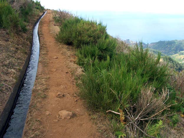 Levada auf Madeira