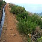 Levada auf Madeira