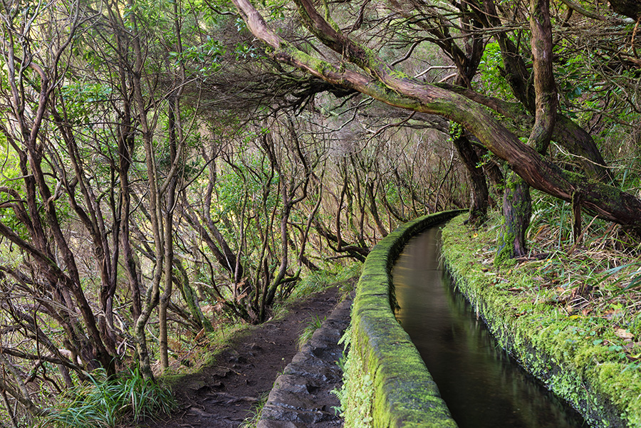 Levada bei den 25 Quellen