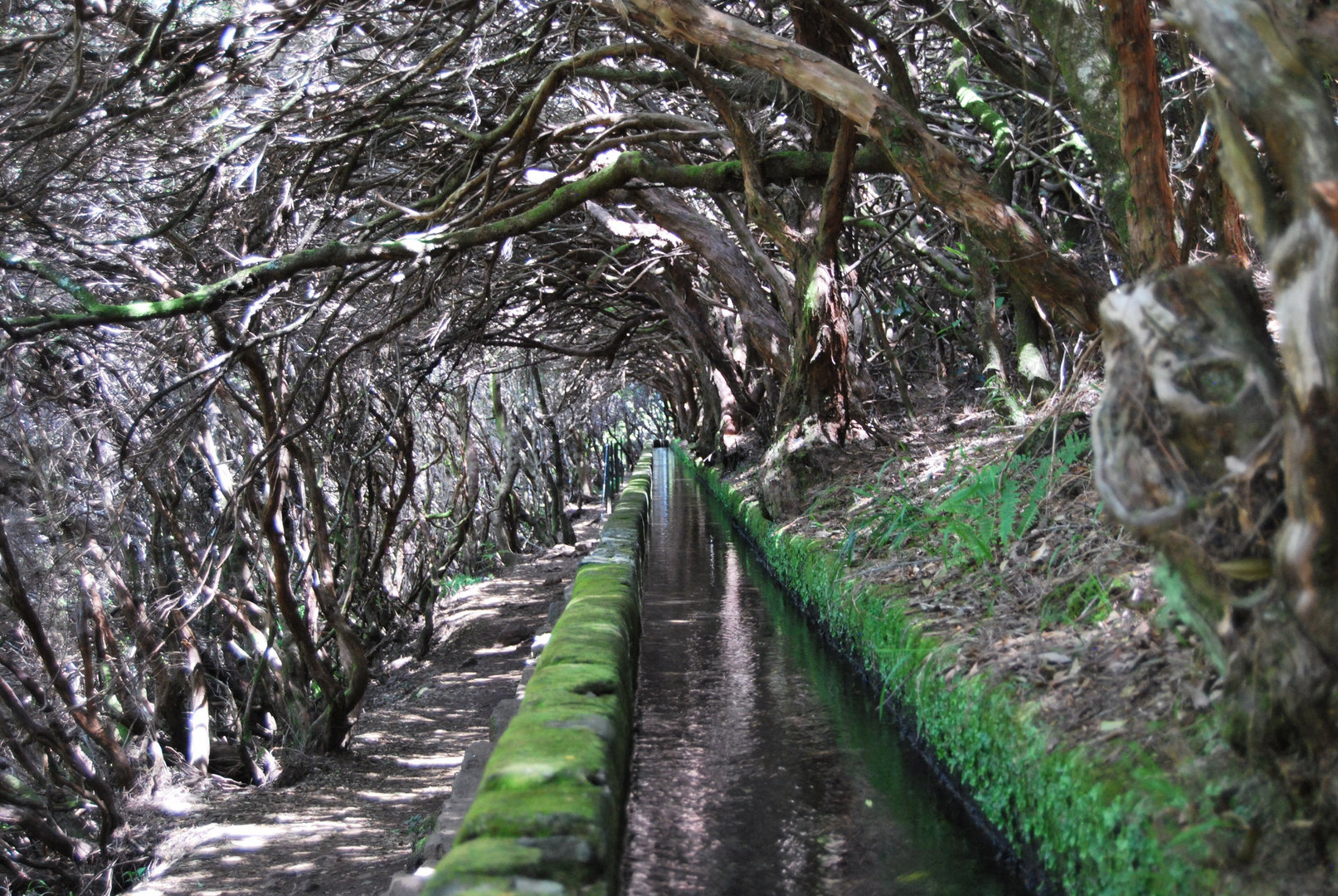 Levada