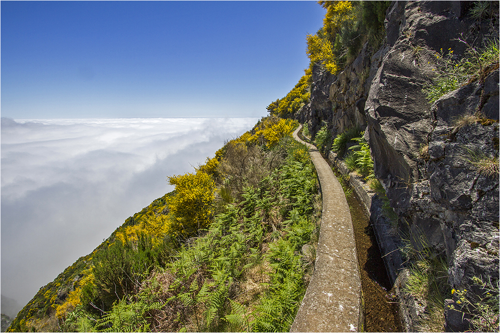 Levada da Bica da Cana 2